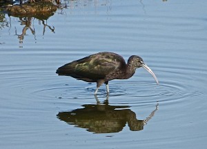P1020581