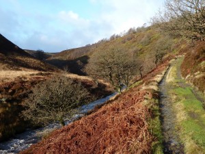 Upper Derwent Valley