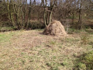 Haystack